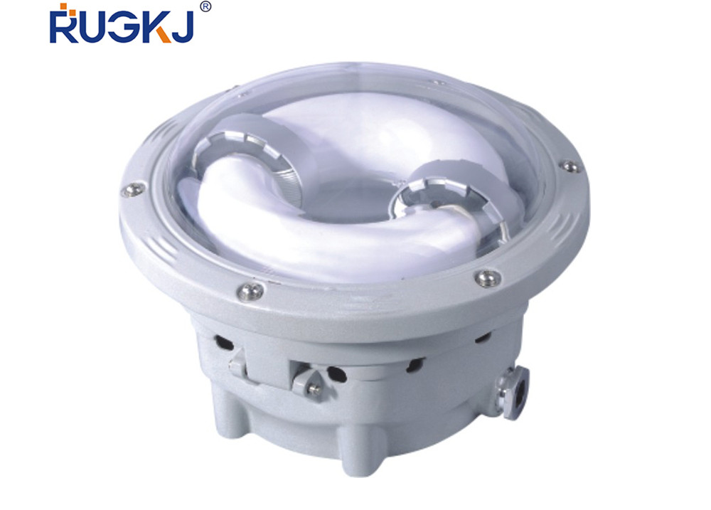 RGF9176 longevity ceiling light