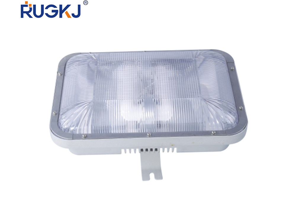 RGF9175 longevity dome light